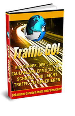 Traffic Go eBook Traffic Go